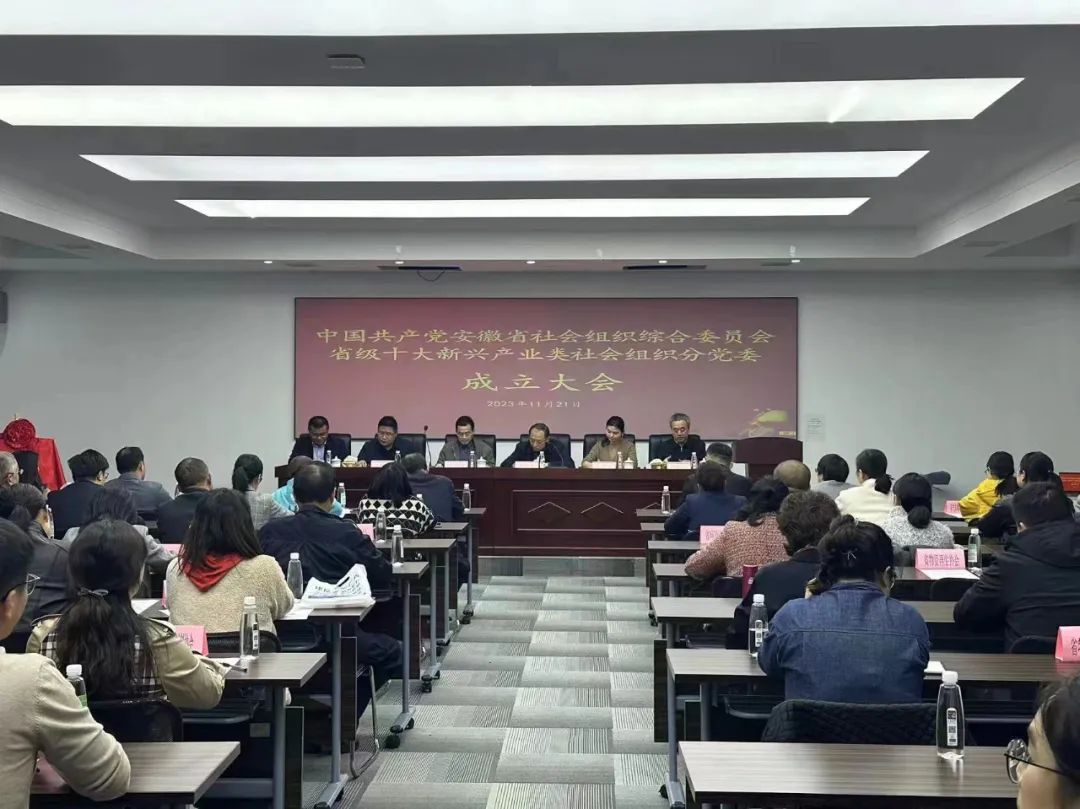 协会参加中国共产党安徽省社会组织综合委员会省级十大新兴产业类社会组织分党委成立大会