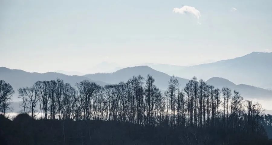 关于协会分支机构管理办法的提案
